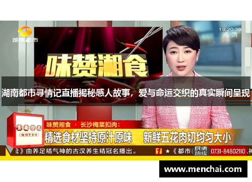 湖南都市寻情记直播揭秘感人故事，爱与命运交织的真实瞬间呈现