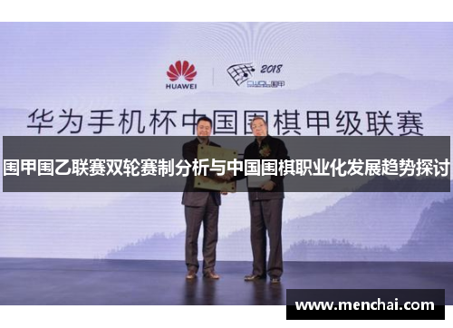 围甲围乙联赛双轮赛制分析与中国围棋职业化发展趋势探讨