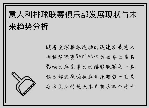 意大利排球联赛俱乐部发展现状与未来趋势分析