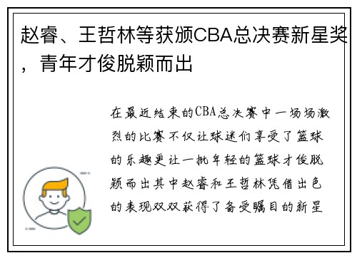 赵睿、王哲林等获颁CBA总决赛新星奖，青年才俊脱颖而出