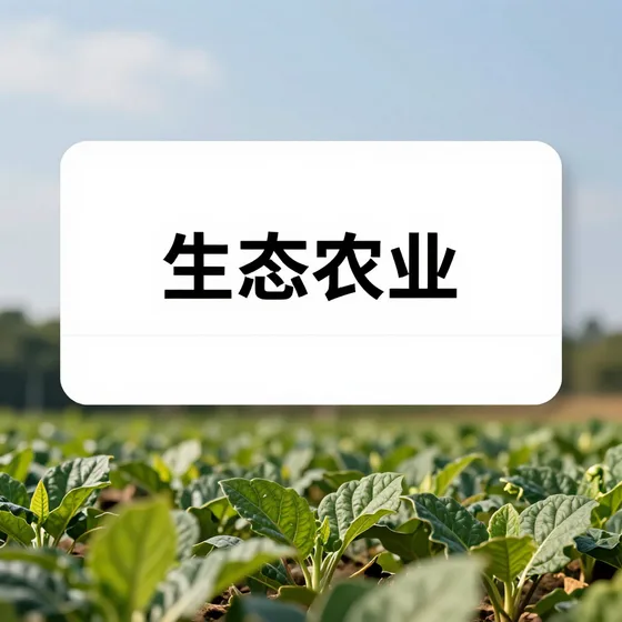 门差网项目流程介绍